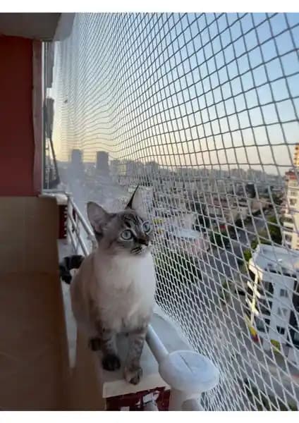 Netlife 1 mm Kare Kesim Polyester Fileleri - Çok Amaçlı Bahçe ve Ev Güvenliği