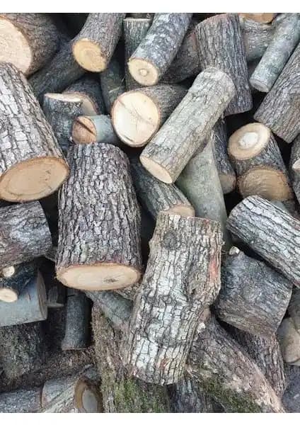 Özkayalar Meşe Odunu: Yüksek Verimli Doğal Isınma İçin Güvenilir Seçenek