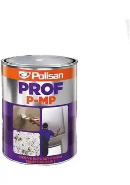 Polisan Prof P-Mp Nem ve Rutubet Boyası: Dayanıklı Çözüm İç ve Dış Mekanlar İçin