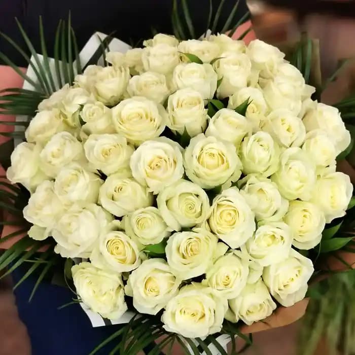 Beyaz Gül ve Dekorasyonda Zarafet: Sade ve Şık Bir Dokunuşun Yolları