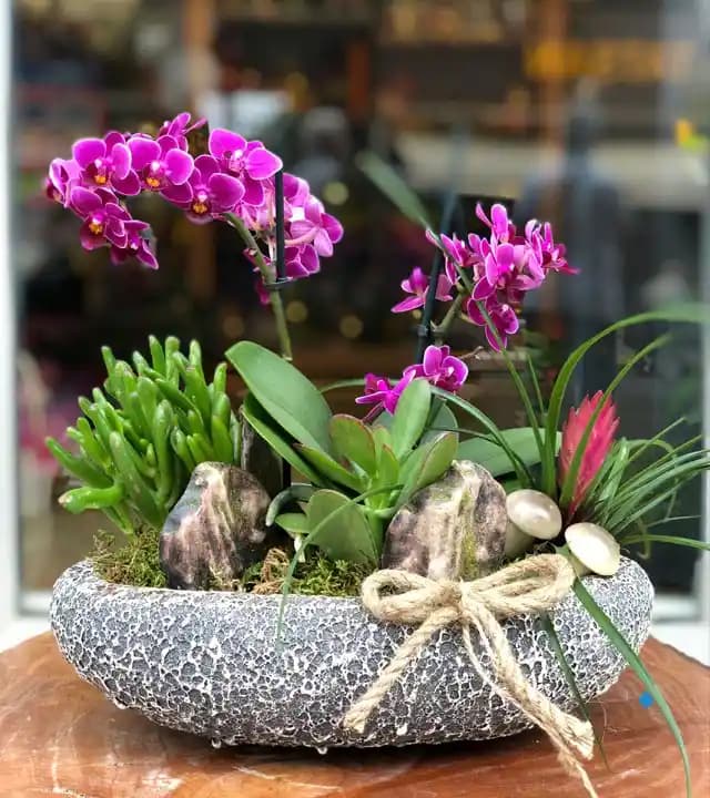 Bodur Orkide ile Dekorasyonun Zarif ve Doğal Dokunuşları