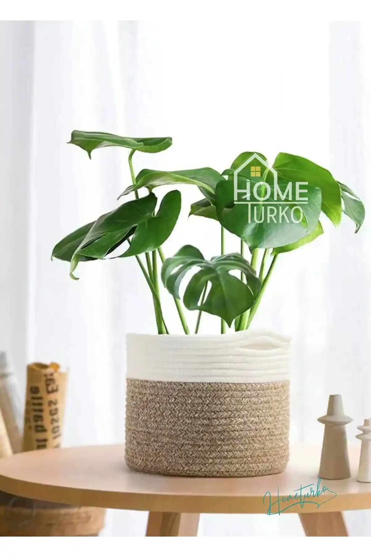 Bohem Saksı Modelleri ve Dekorasyon İpuçlarıyla Evinize Doğal ve Renkli Dokunuşlar