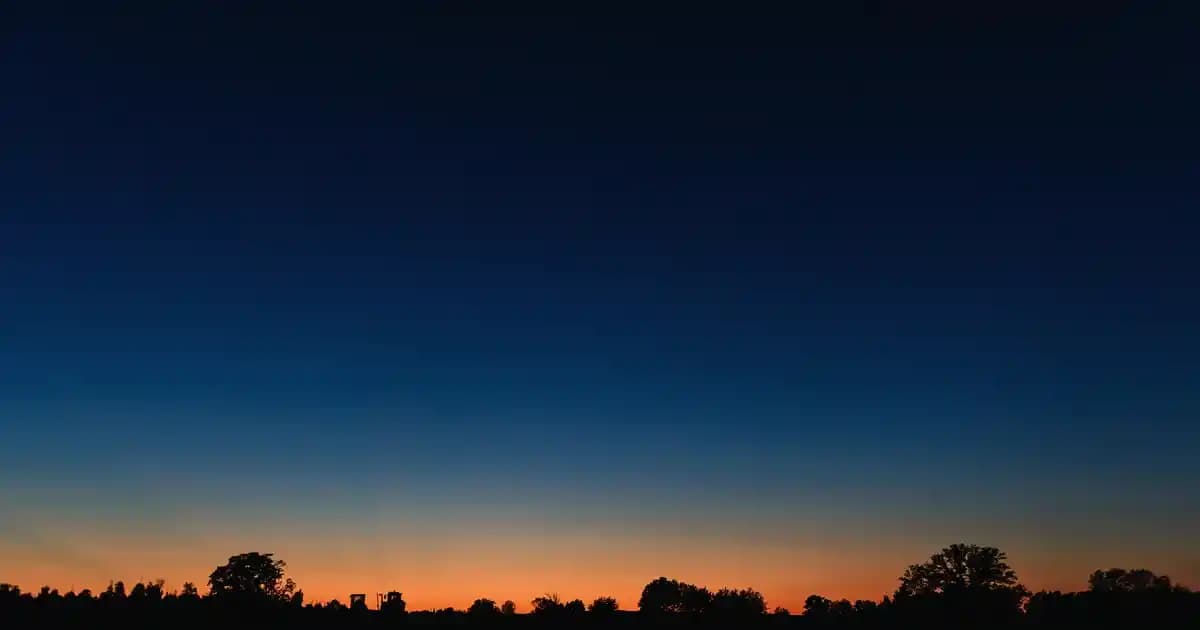 Difenbahya Yapraklarının Sararması ve Bakım İpuçları İçin Kapsamlı Rehber
