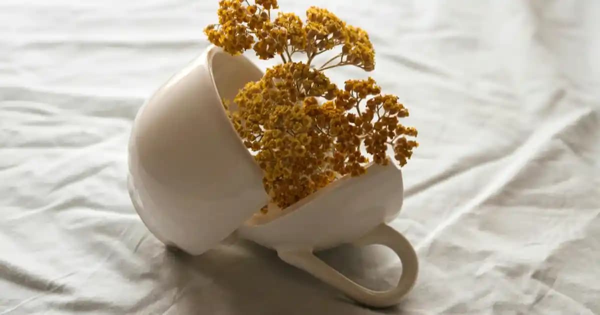 En Sıcak Tutan Yorgan Seçenekleri ve Dekorasyon İpuçları