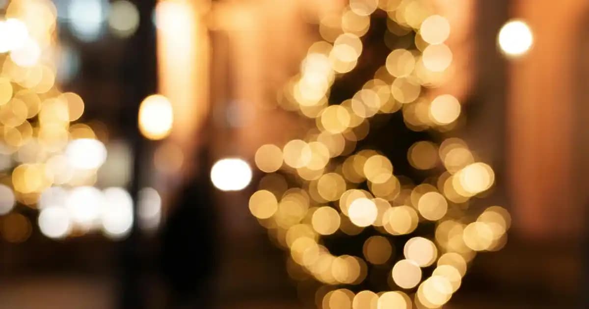 Ev Dekorasyonuna Uygun Şık ve Fonksiyonel Temizlik Paspası Seçenekleri