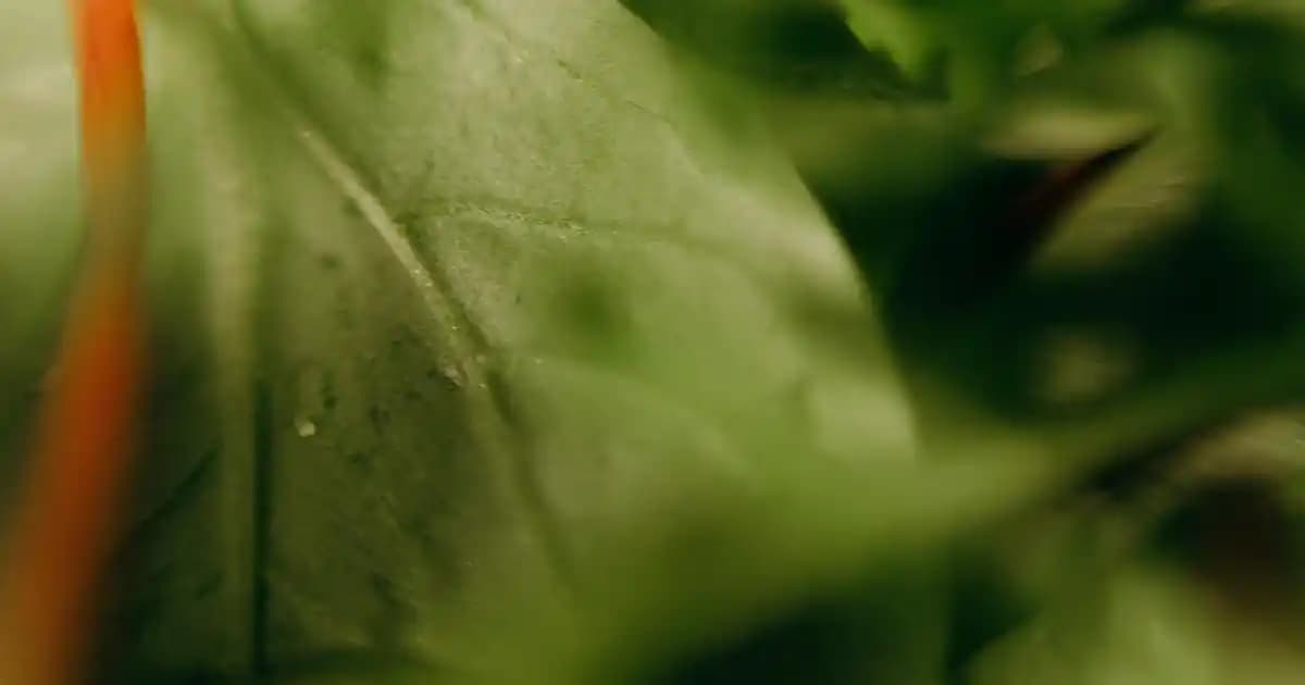 Genç Erkek Odası Dekorasyonunda Aksesuar Seçimi ve Trendler