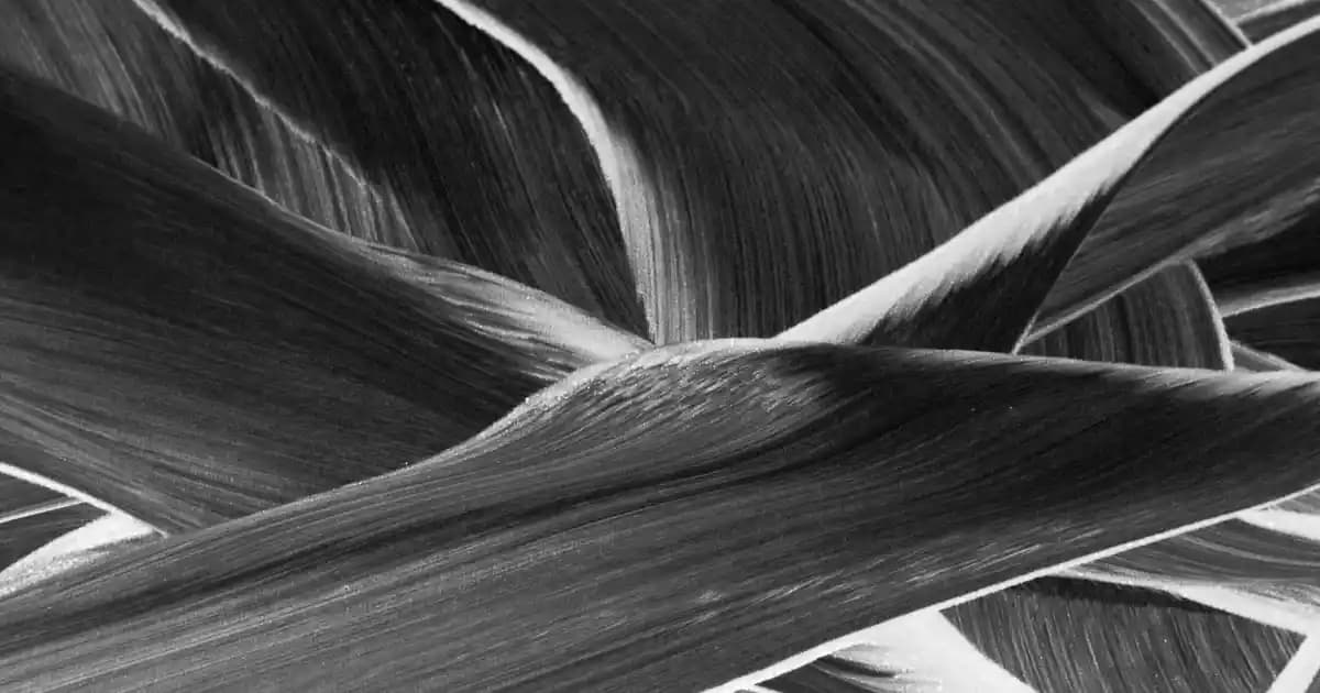 Güneş Avize ile Dekorasyonunuza Doğal Sıcaklık ve Işıltı Katmanın Yolları