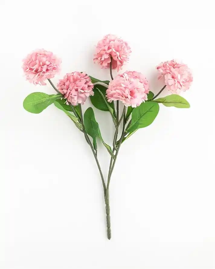 İngiliz Tarzı Ev Dekorasyonunda Çiçeklerin Rolü ve Dekoratif Bitki Seçenekleri