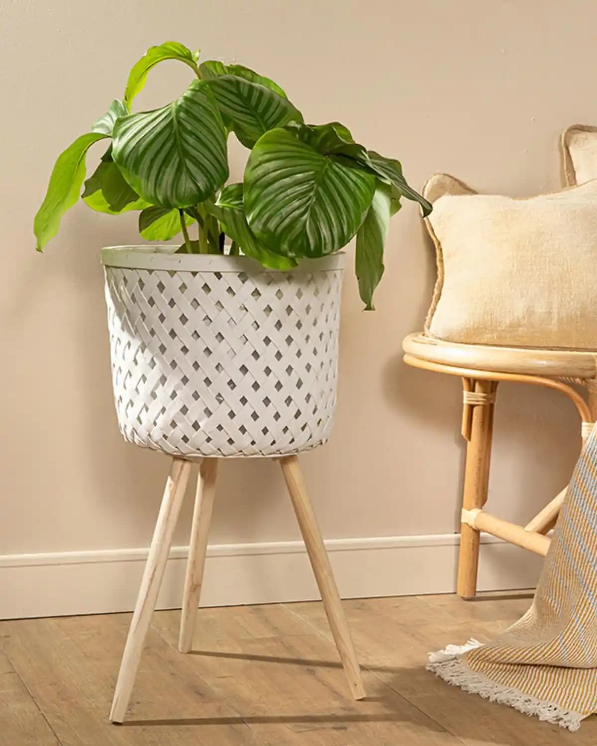 İngiliz Tarzında Hasır Saksı Dekorasyonu ile Doğal ve Şık Mekânlar Yaratın