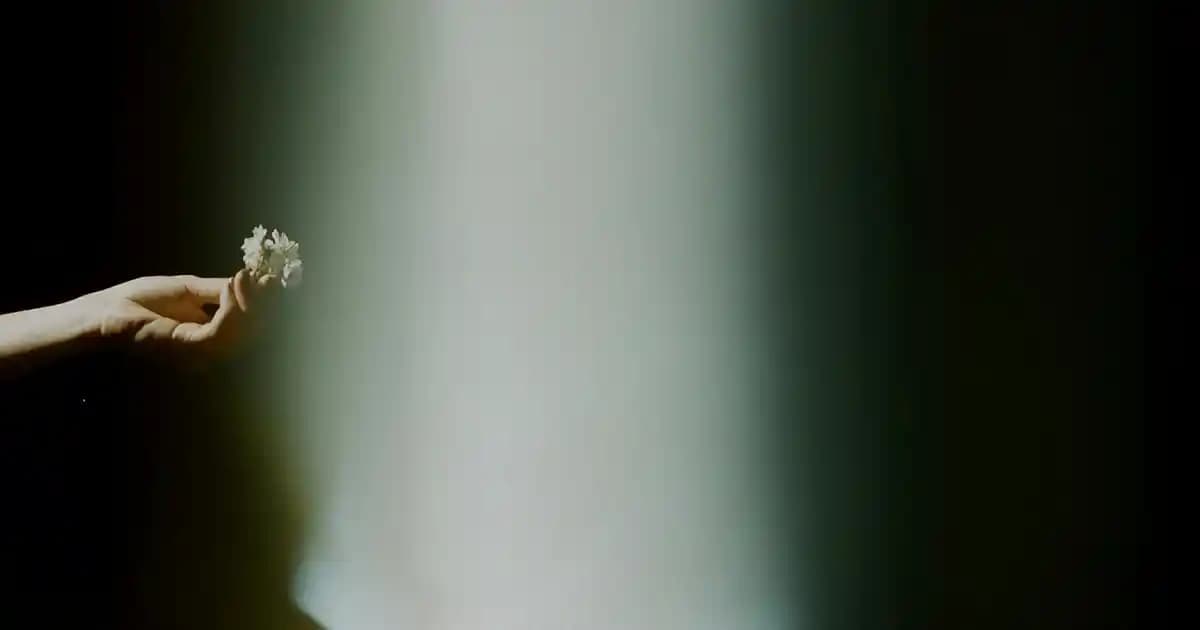 Karaca Çerezlikleri ile Mutfak ve Sofra Dekorasyonunuza Şıklık Katın