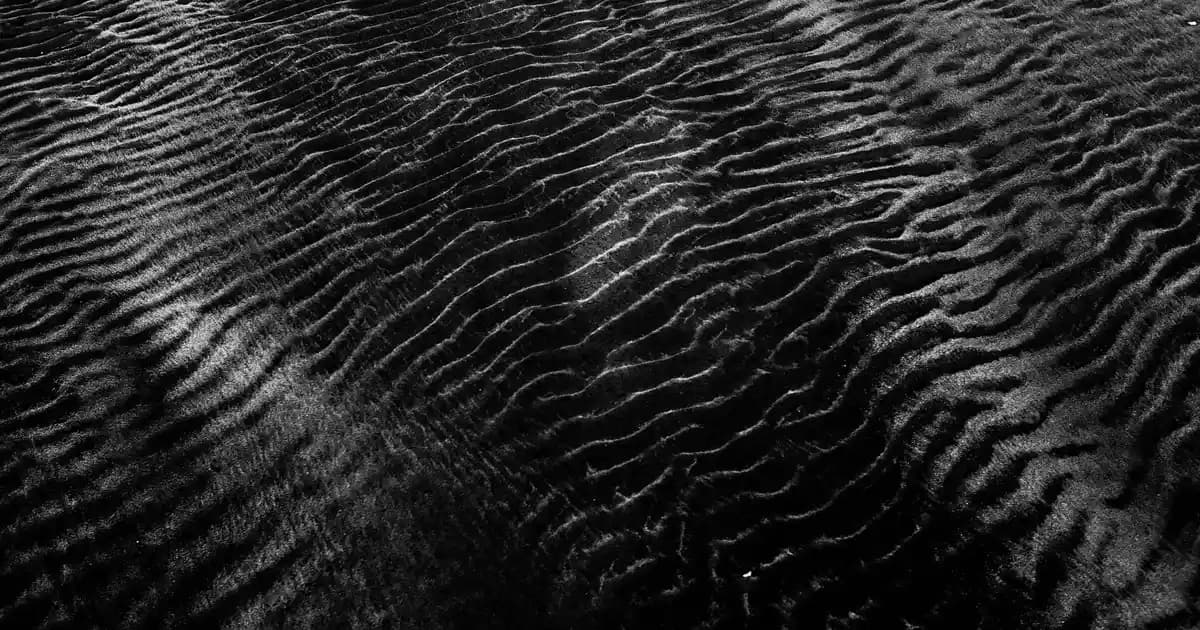 Karaca Ivy Servis Tabağı 26,5 cm ile Sofralarınıza Zarif ve Modern Dokunuşlar