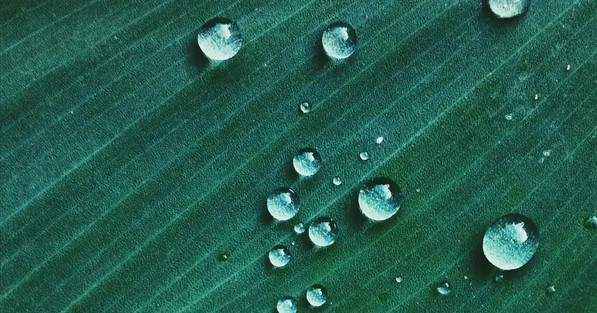 Karaca Nakkaş Fincan Takımı: Zarif ve İşlevsel Dekoratif Çay ve Kahve Setleri