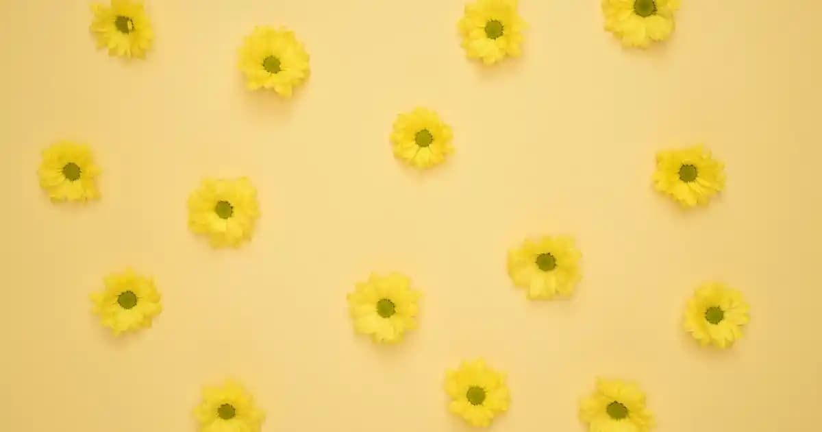 Kiremit Tavan ile Dekorasyonda Sıcak ve Otantik Atmosfer Yaratma Rehberi