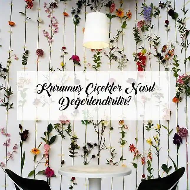 Kuru Çiçeklerin Dekorasyonda Kullanımı ve Yaratıcı Değerlendirme Yöntemleri