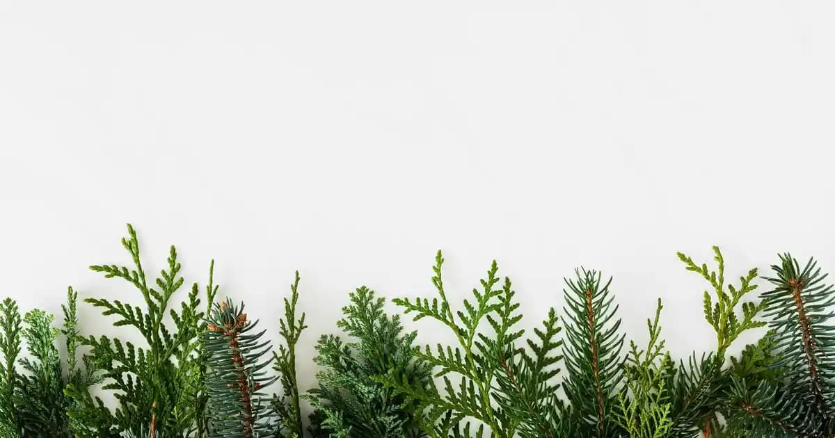 Kütahya Porselen Pearl Mood Koleksiyonu ile Ev Dekorasyonunda Zarafet ve Dayanıklılık