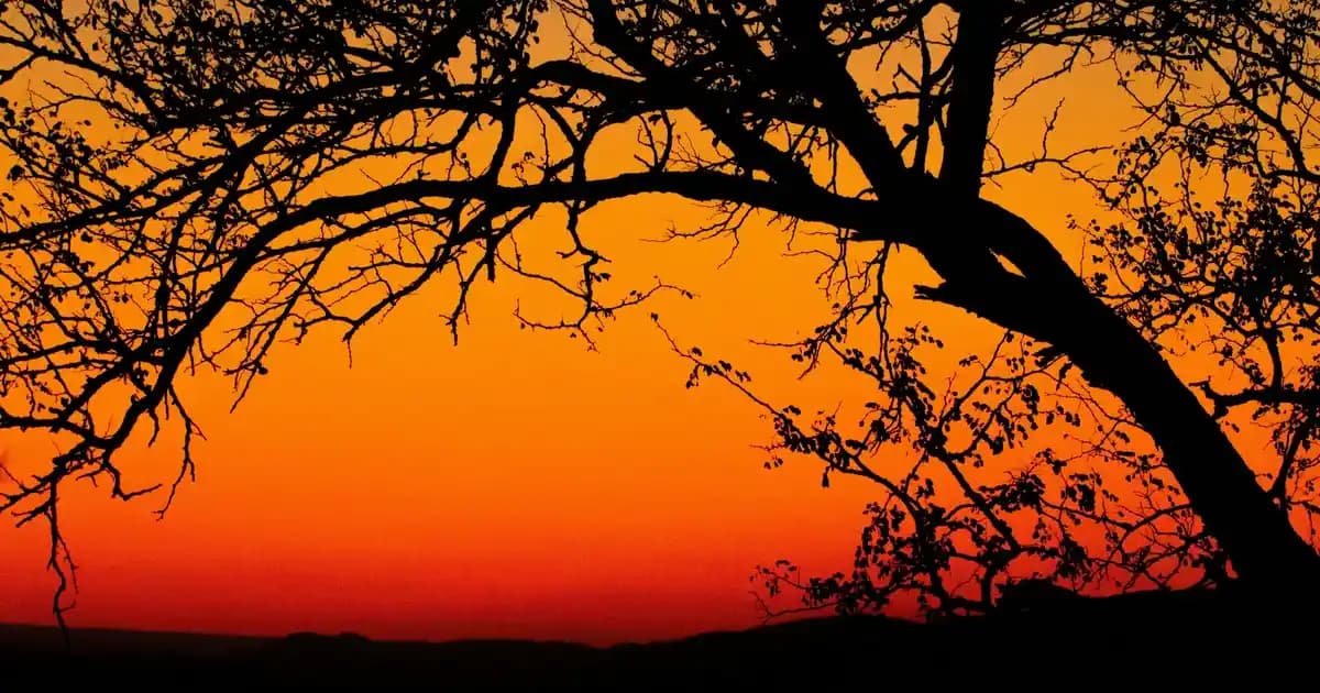Modern ve Şık Banyo Tasarımı İçin İlham Veren Dekorasyon Önerileri