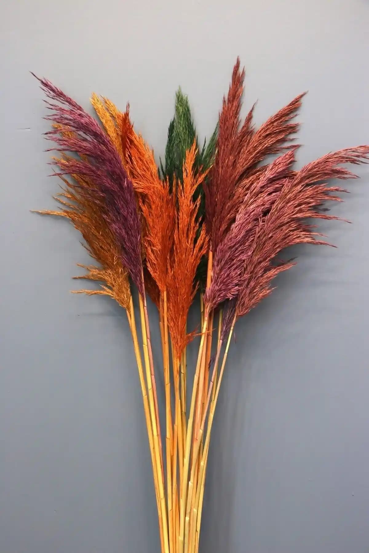 Pampas Çiçeği ile Modern ve Doğal Dekorasyon Fikirleri 2023