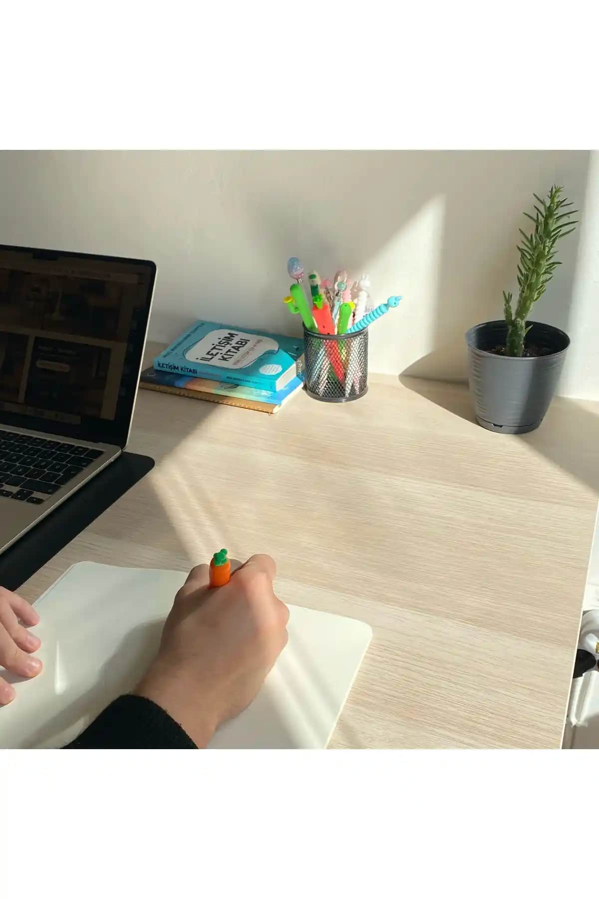 Dolphin Havuç Kalem Versatil 0.7mm Uçlu Estetik ve Dayanıklı Yazı Kalemi