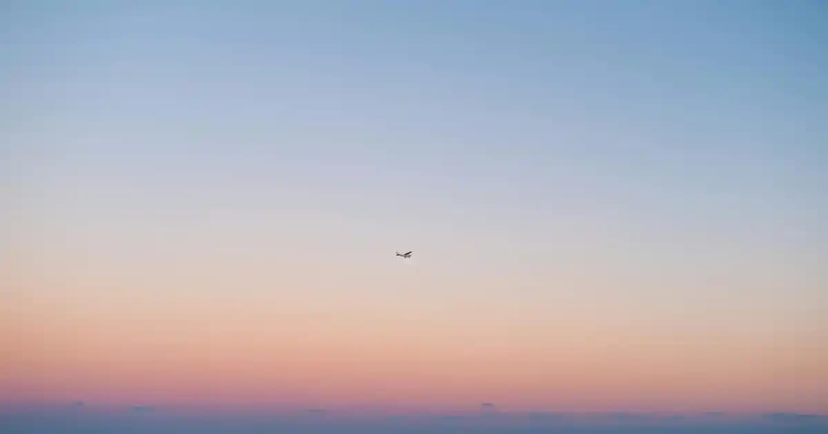 Deniz Kabuklu Fincanlar ile Doğal ve Şık Dekorasyon Seçenekleri