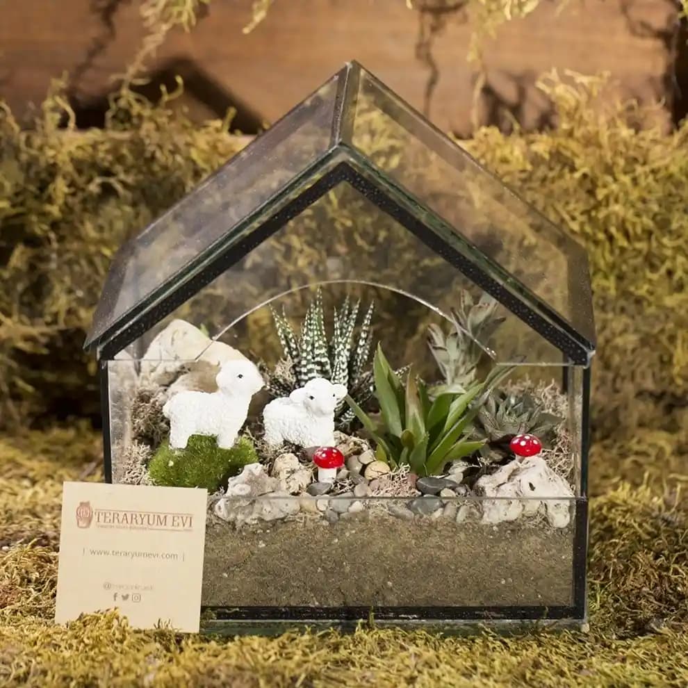 Evde Teraryum Yapımı ve Dekorasyon İpuçları ile Doğal Bir Atmosfer Yaratın