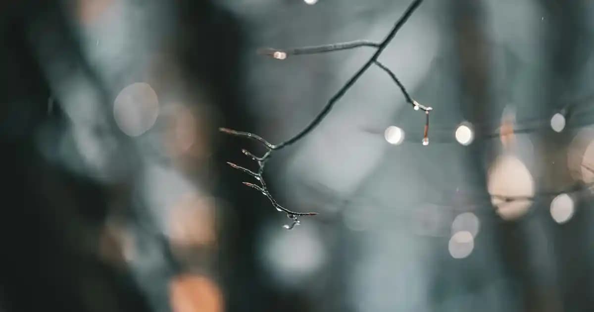 Küçük Evler İçin Dekorasyon ve Fonksiyonellik İpuçları ve Eşyalar