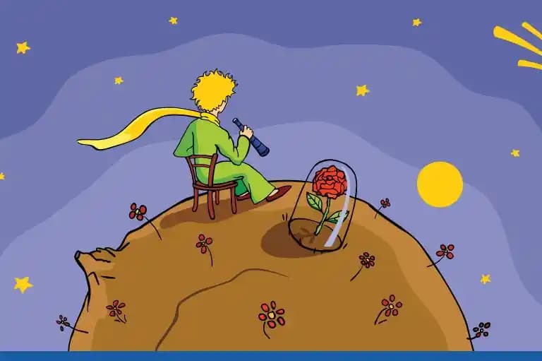 Küçük Prens ve Gül Temasıyla Anlamlı ve Estetik Dekorasyon Yaklaşımları