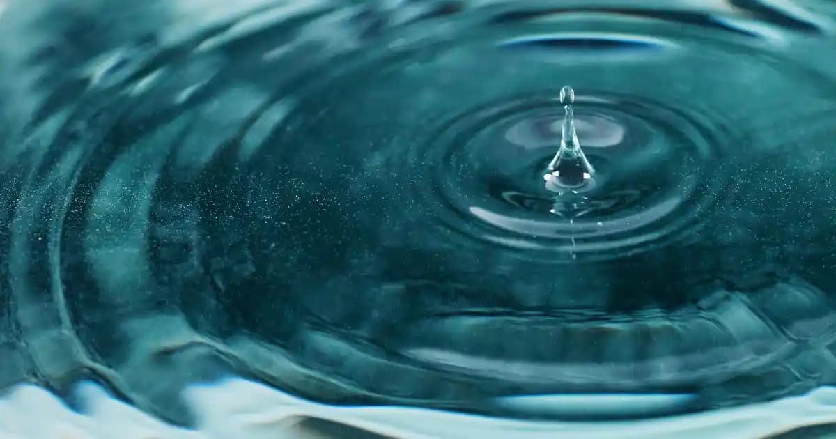 Magnolia Bardakları ile Dekorasyonda Şıklık ve Çok Yönlü Kullanım Fırsatları