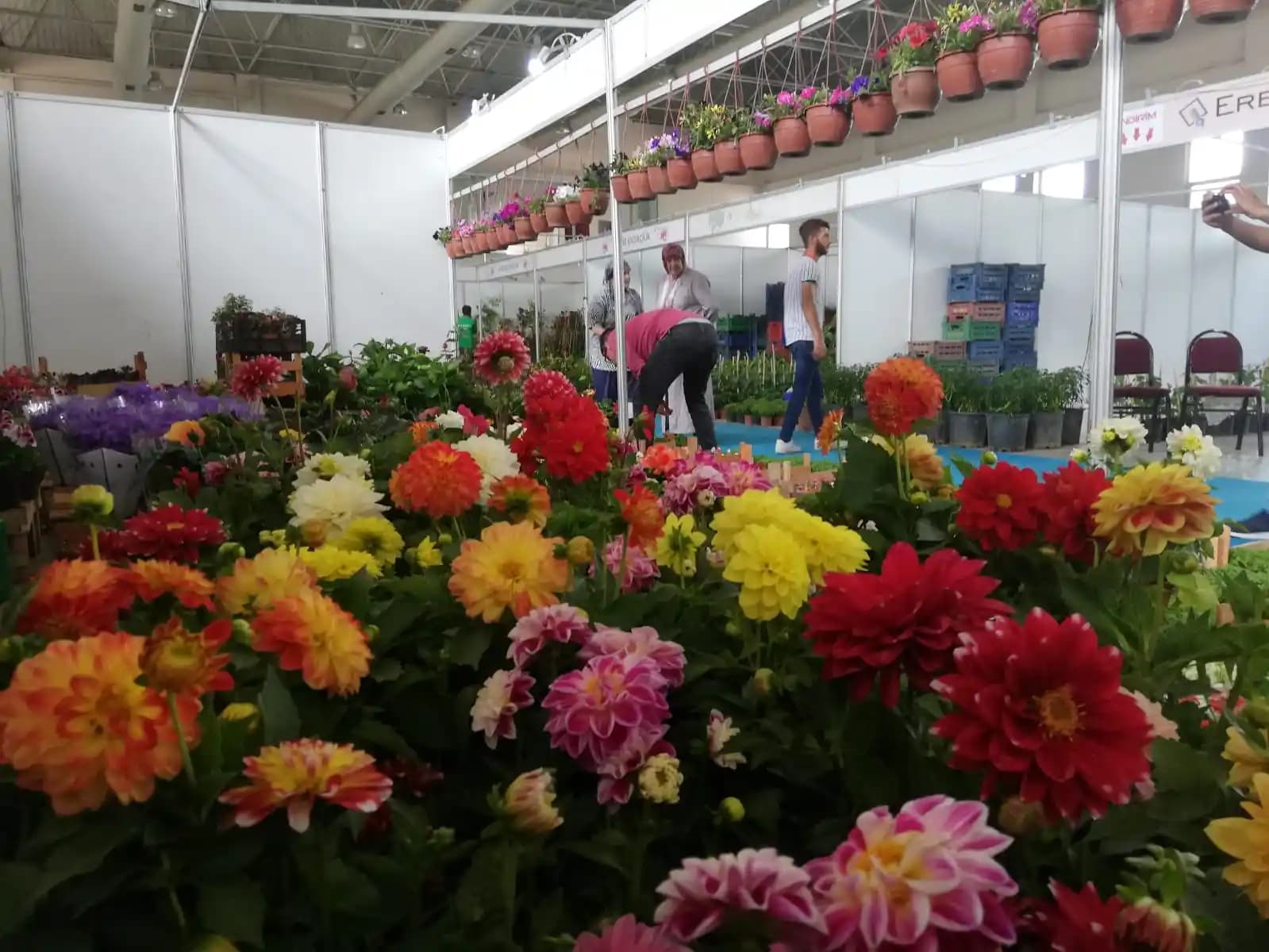 Manisa Çiçekleri ile Dekorasyonda Doğal Zarafetin Sırları ve Kullanım İpuçları