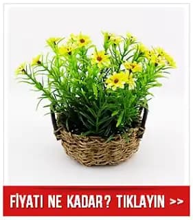 Ofis Dekorasyonunda Çiçek Sepeti ile Şık ve Anlamlı Dokunuşlar Yapmanın Yolları