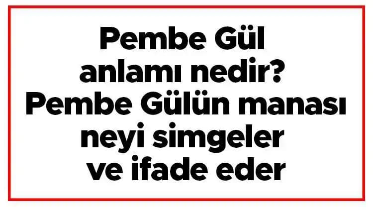 Pembe Gülün Anlamı ve Dekorasyondaki Yeri: Duyguları ve Estetiği Birleştiren Çiçek