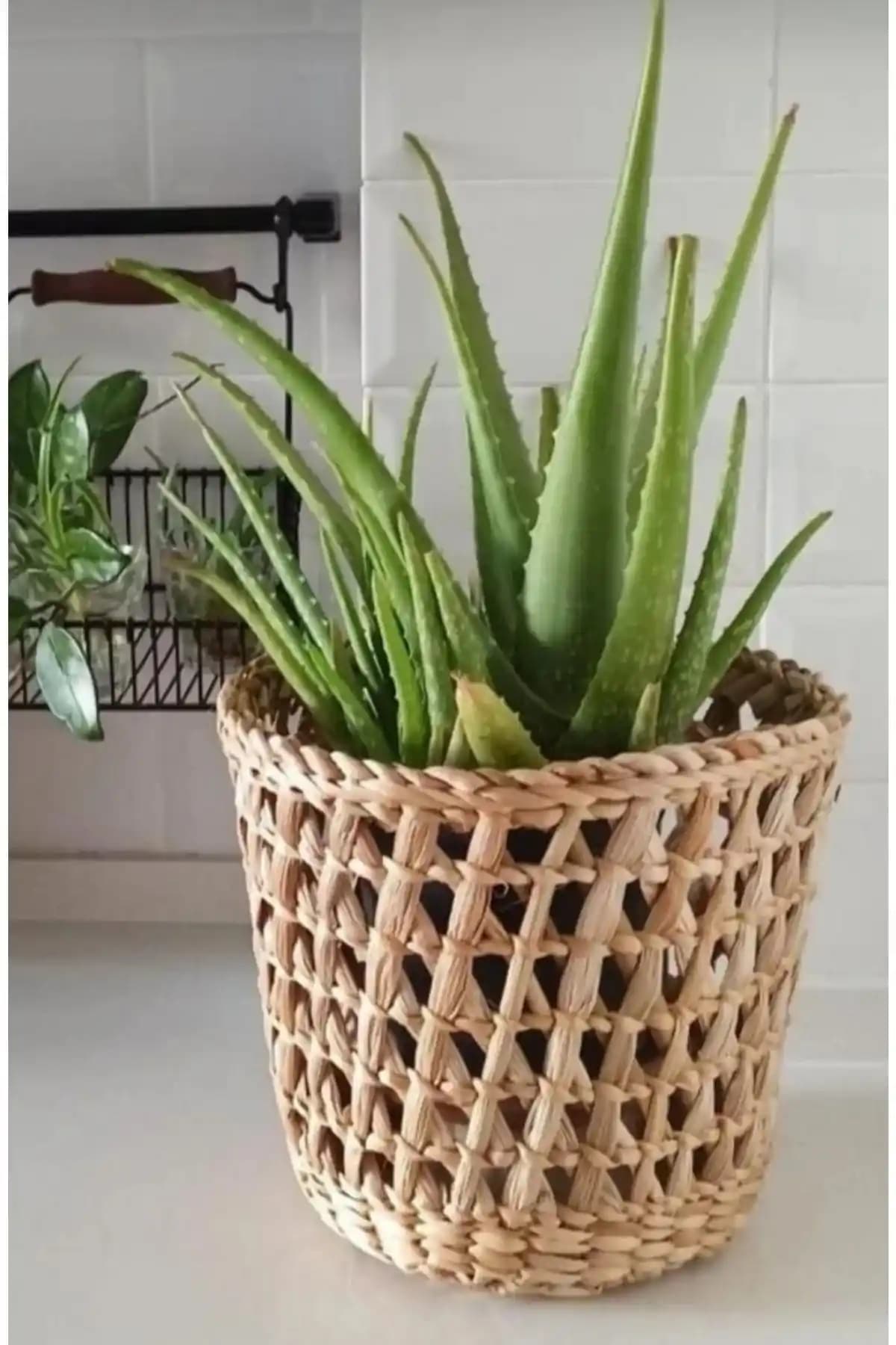 Saksı Hasır ile Doğal ve Şık Dekorasyon Çözümleri İçin Rehber