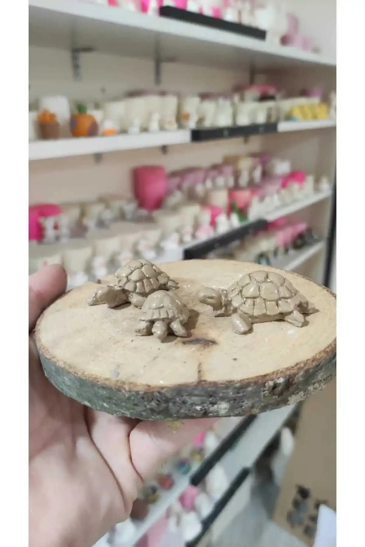 Teraryum Objeleri ile Dekorasyonun Estetik ve Kişisel Dokunuşlar Katma Rehberi