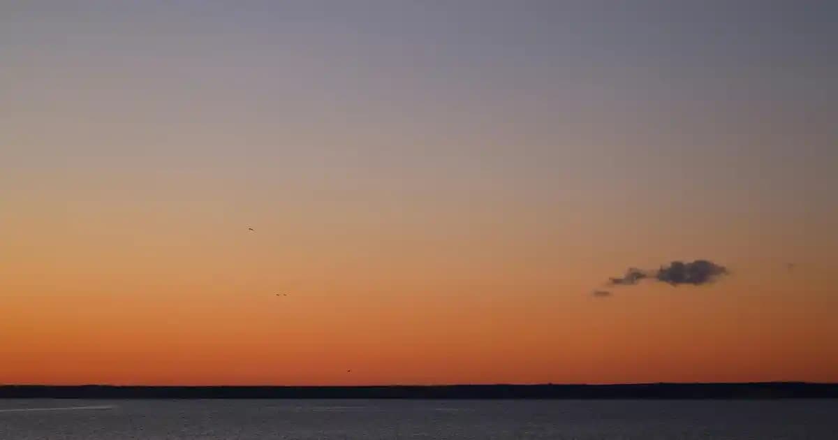 Teraryum ve Minyatür Bahçelerle Evinize Doğal ve Sakinleştirici Bir Dokunuş