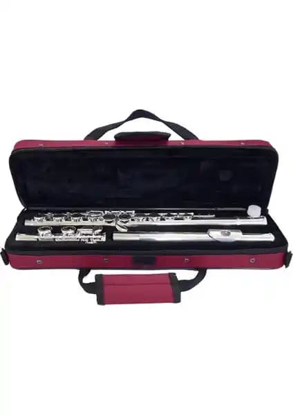 Fox Fl110S ve Midex YFL-16G Gümüş Kaplama Yan Flüt Karşılaştırması