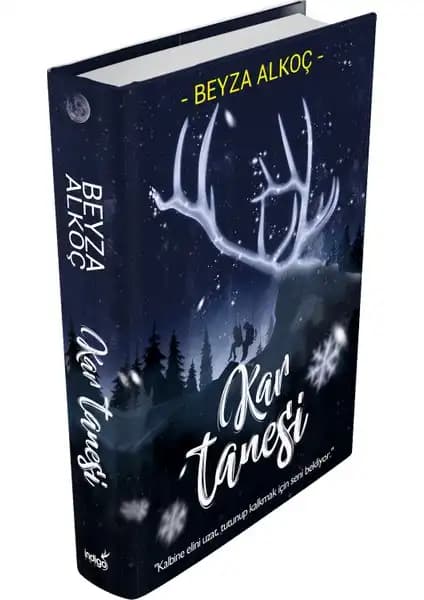 İndigo Kitap Kalp Muhafızı ve Kar Tanesi Karşılaştırması: Temel Özellikler ve Kullanıcı Yorumları 2