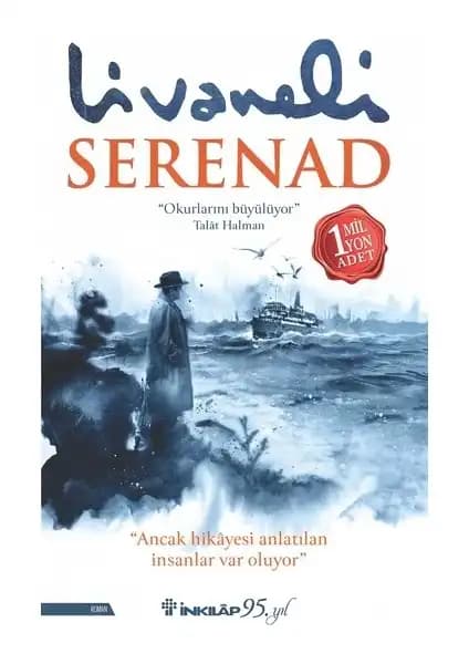 Kardeşimin Hikayesi ve Serenad Romanlarının Karşılaştırması: Temalar ve Özellikler Analizi 2