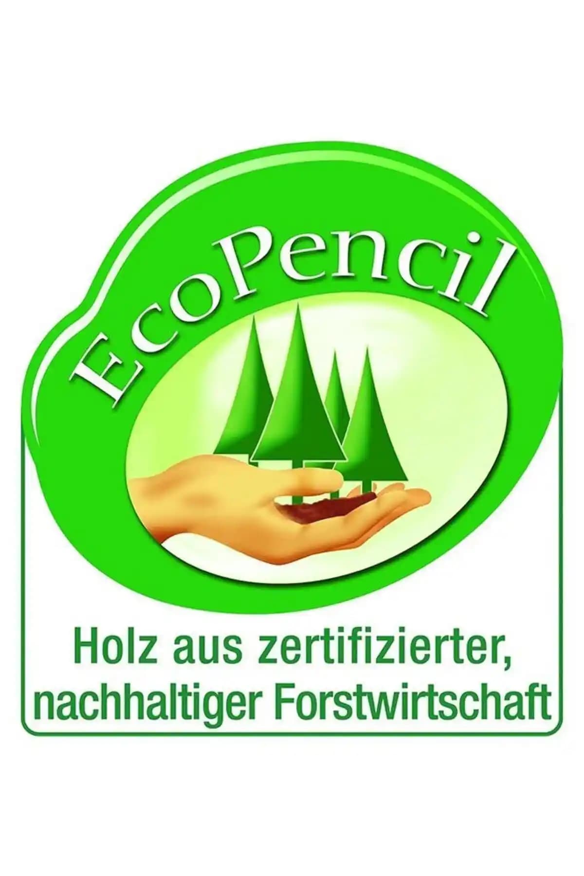 Faber Castell 36'lı Kuru Boya Kalemi: Canlı Renkler ve Güvenilirlik Sunan Sanat Seti