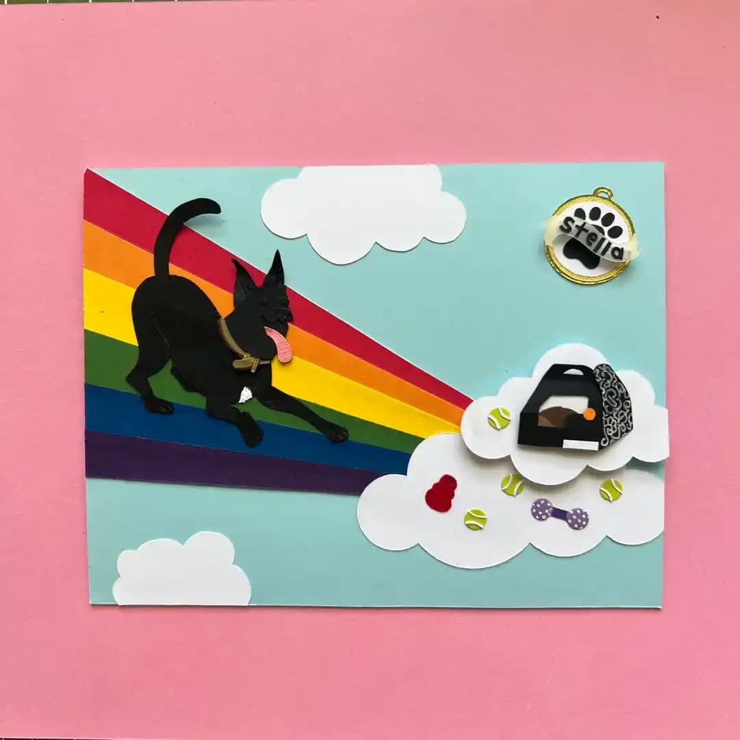 Gökkuşağı Köprüsü Kartları: Evcil Hayvan Kaybında Duygusal Destek ve Anma Araçları
