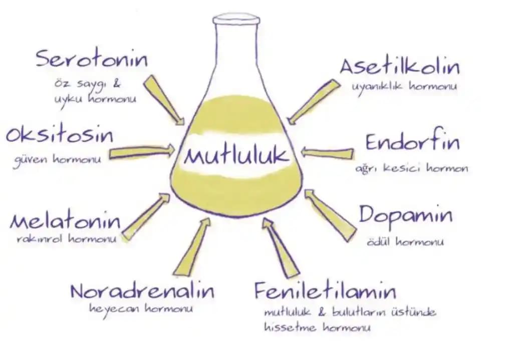 Hobilerde Malzeme Toplamanın Psikolojik ve Pratik Yönleri Üzerine Detaylı İnceleme