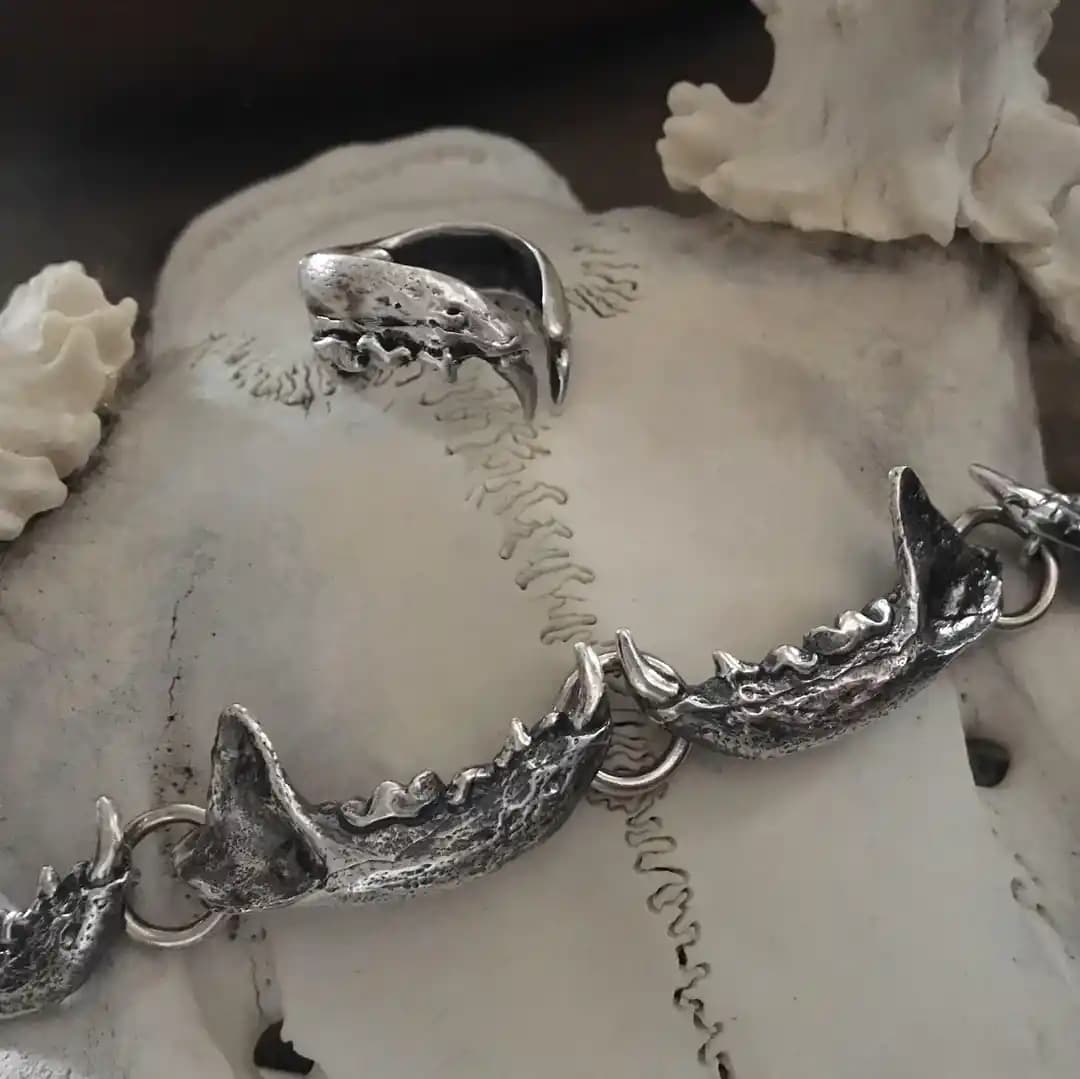 Yarasa Çene Kemiği Temalı Takılar: Doğadan İlham Alan Özgün Tasarımlar ve Üretim Süreci