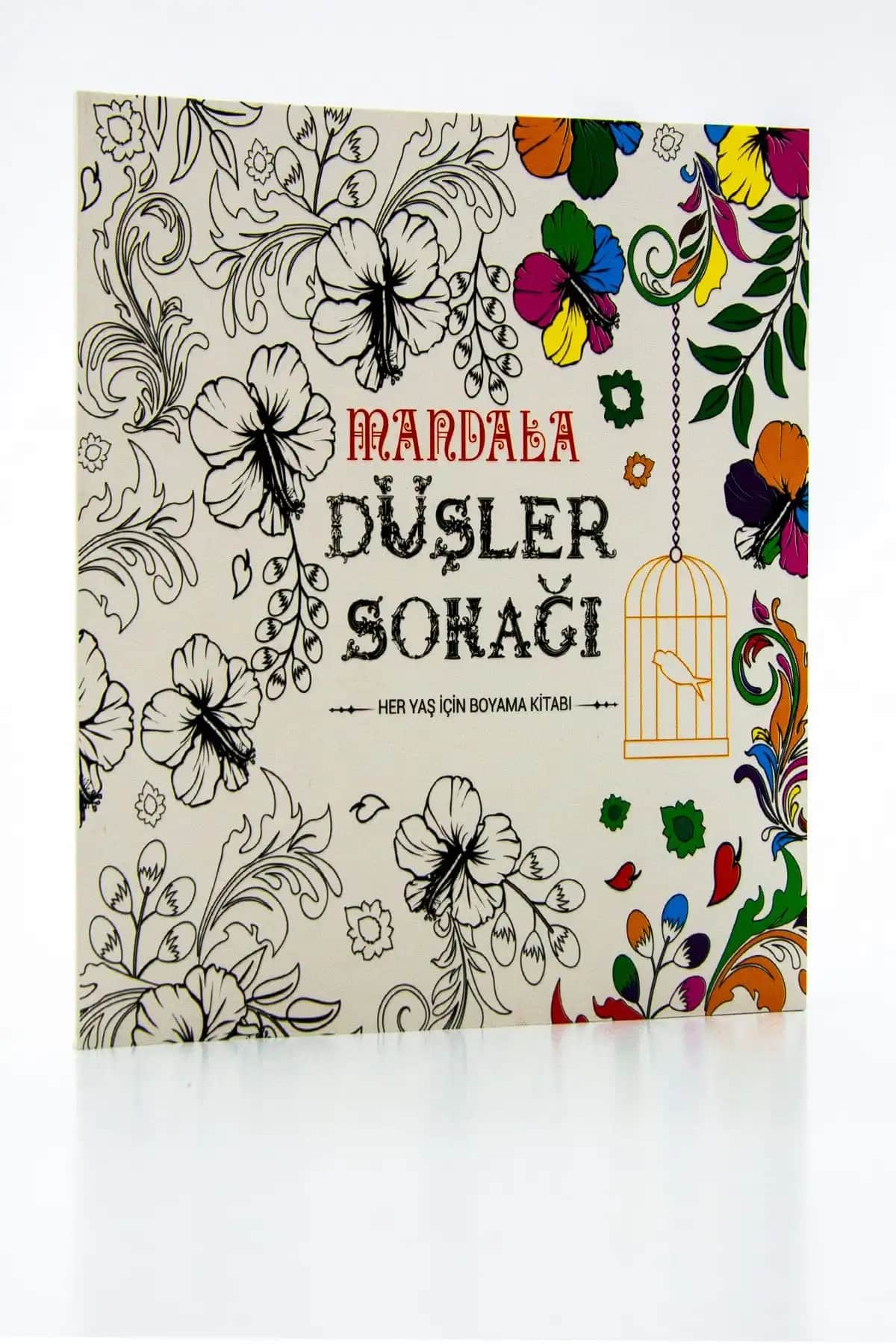 Yetişkin Boyama Kitapları Karşılaştırması: Mandala Düşler Sokağı ve Pembe Pasajın Özellikleri