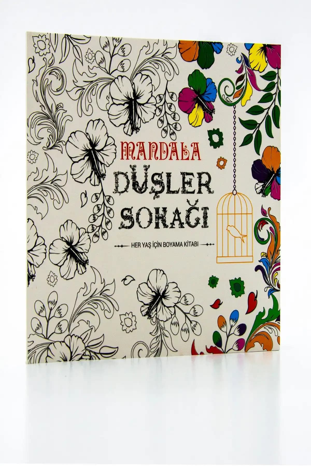 Yetişkin Boyama Kitapları Karşılaştırması: Mandala Düşler Sokağı ve Pembe Pasajın Özellikleri