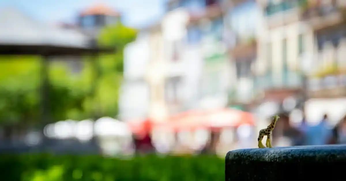 Kahve Sunum Bardağı Seçenekleri ve Dekorasyonda Kullanım İpuçları