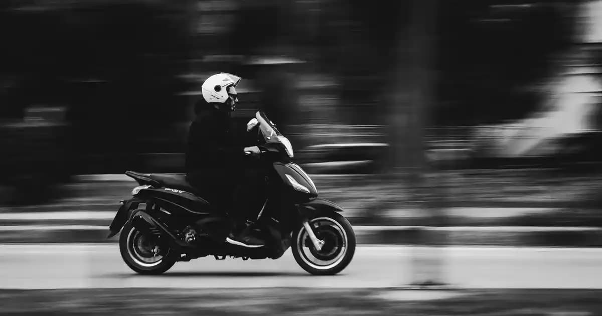 Kedi Yatağı Dekorasyonunda Şıklık ve Konforun Uyumlu Birleşimi Nasıl Sağlanır