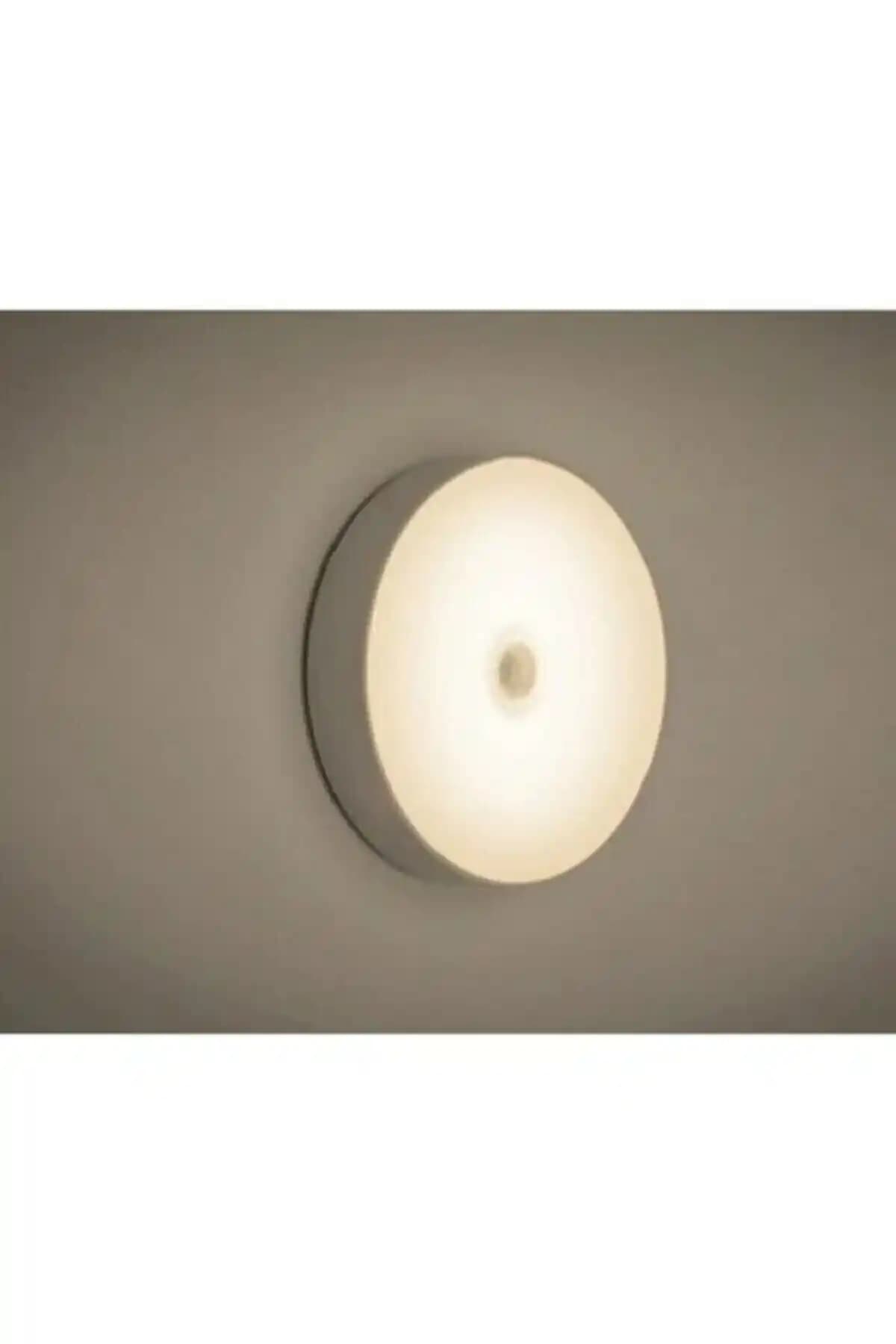 Cata ve Unichrome LED Işık Karşılaştırması: Hangi Ürün İhtiyacınıza Uygun