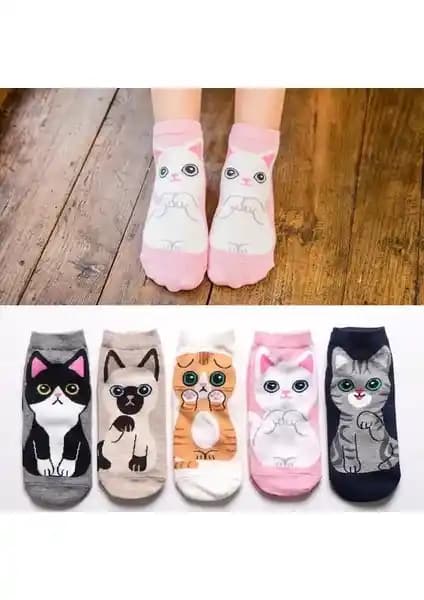 Çorap Kurdu 5'li Sevimli Kedi Desenli Patik Çorap Renkli ve Konforlu Tasarım