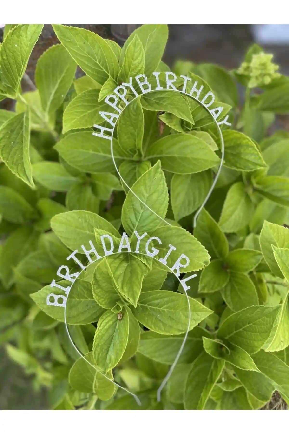 Azebu Bırthday Gırl Doğum Günü Tacı Renkli ve Şık Kutlama Süsü