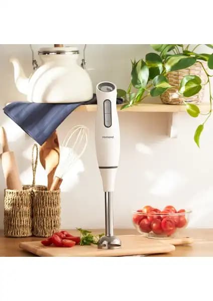 Homend Handmaid 1937H ve Schafer Meister Çubuk Blender Karşılaştırması 1