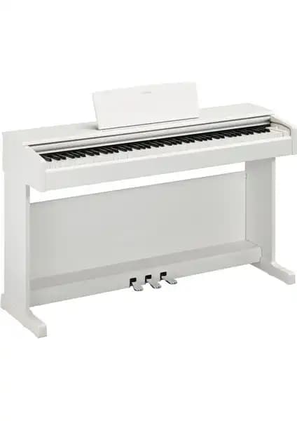 Casio AP-470 ve Yamaha YDP145WH Dijital Piyano Modellerinin Karşılaştırması 2